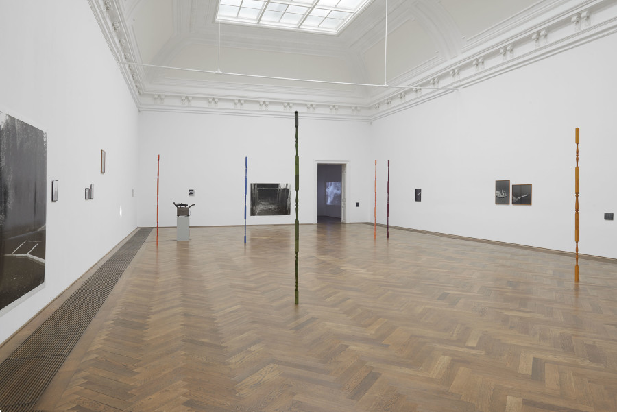 Joanna Piotrowska, installation view, Stable Vices, Kunsthalle Basel, 2019. Photo: Philipp Hänger / Kunsthalle Basel