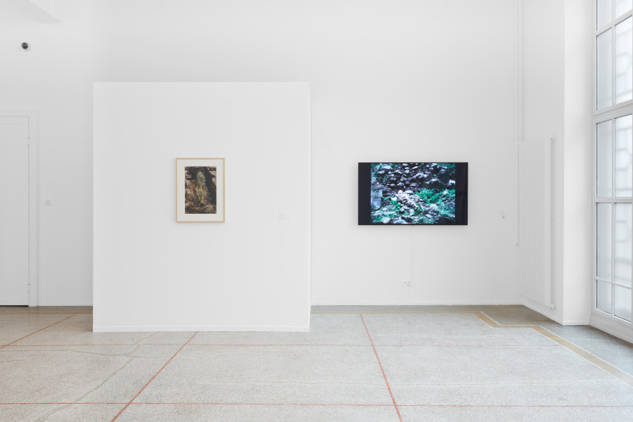 Exhibition view, Ana Mendieta, Search for origins, Musée des beaux-arts de La Chaux-de-Fonds, 2024. © Musée des beaux-arts La Chaux-de-Fonds. Photography : Gaspard Gigon. © 2024 The Estate of Ana Mendieta Collection, LLC. Courtesy Galerie Lelong & Co. / Licensed by ProLitteris