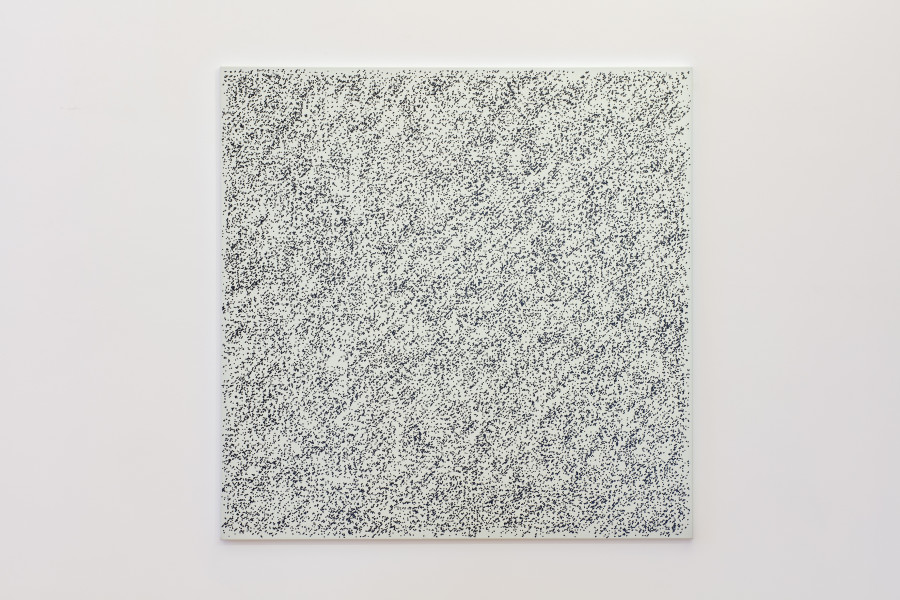 Bernard Tagwerker, 1’000 x 100 points at random, 1989, Foto: Stefan Rohner