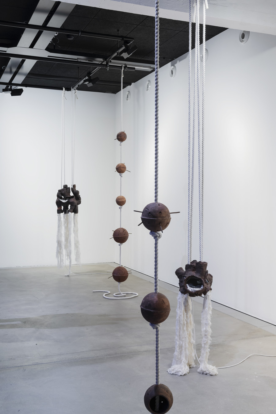 Maya Hottarek, Neokaryotes, 2023, «New Rituals [for the End of the World]», 2026, HEK, photo: Franz Wamhof