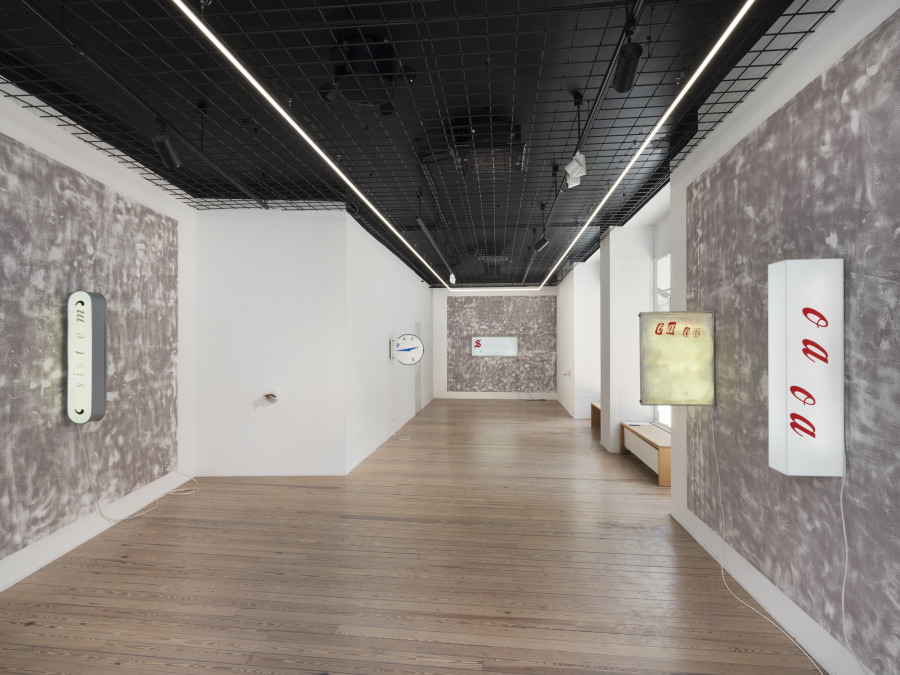 Exhibition view, Gina Proenza, Patron / Partner, galerie lange + pult, Geneva, 2026. Photo credit: © Julien Gremaud