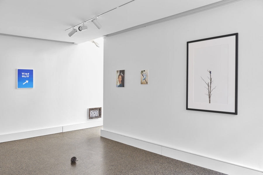 Exhibition view, Triple Take, Wilde, 2022. Credits: Images courtesy of Wilde and the artists. Photos by Philipp Hänger.