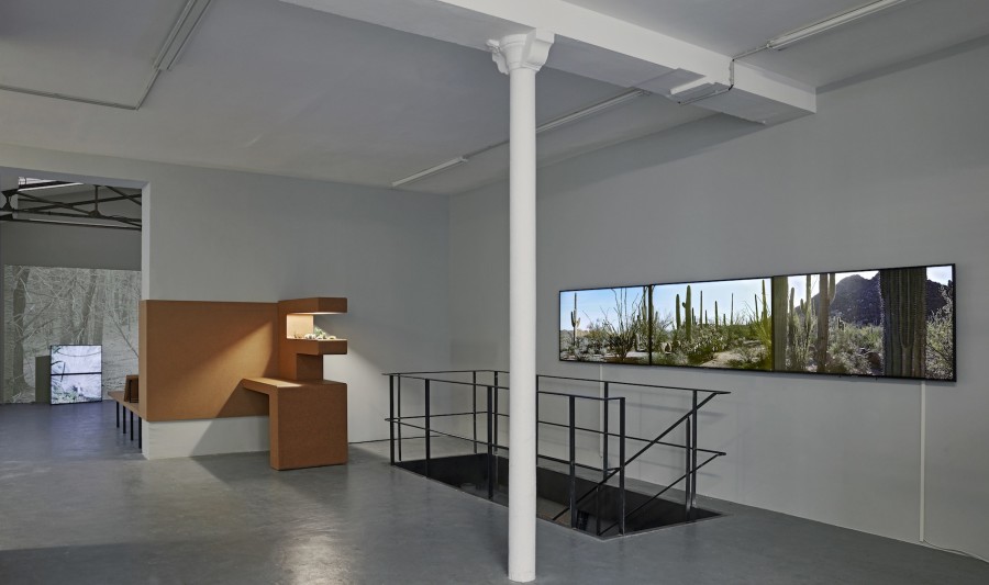 Andrea Blum, Grey Matter (Exhibition), 2019. Insitu Fabienne LeClerc, Paris. Courtesy of the artist and Insitu / Fabienne LeClerc, Paris