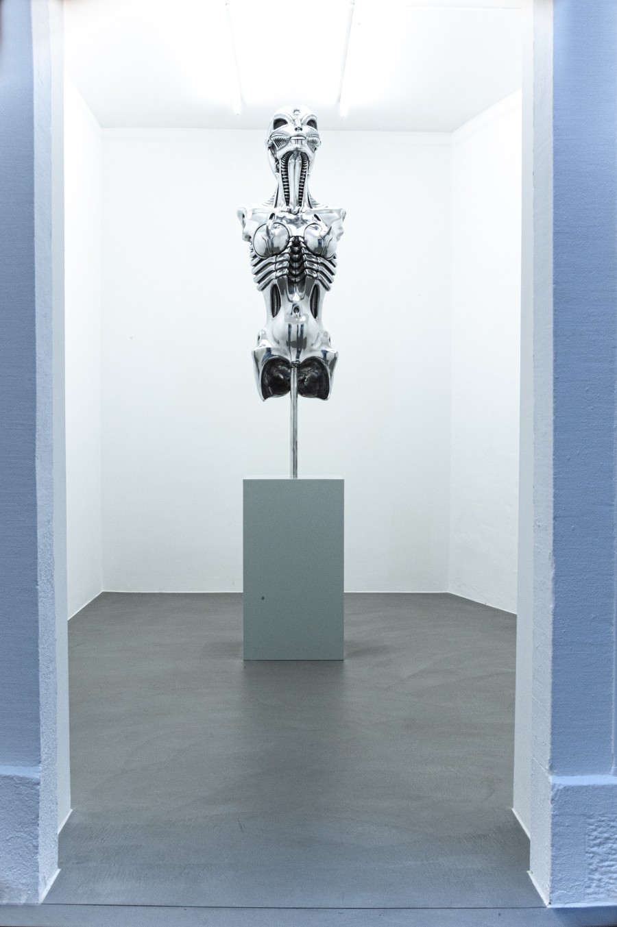 SPECIES, Group Exhibition, Installation views, 2023, Mai 36 Galerie.