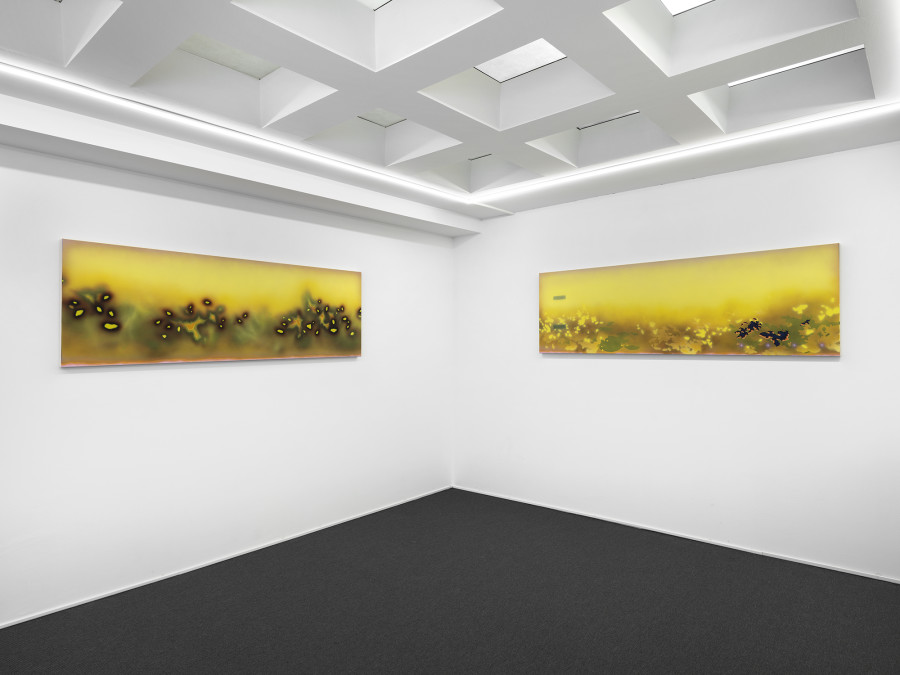 Exhibition view, Natacha Donzé, Predictive Meadows, galerie lange + pult, 2022. Photo: Julien Gremaud