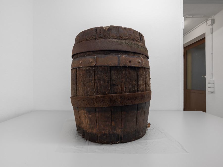 Exhibition view, IM MUELL IM PARK, Matthias Holznagel, Pförtnerhaus Freiburg, 2025.