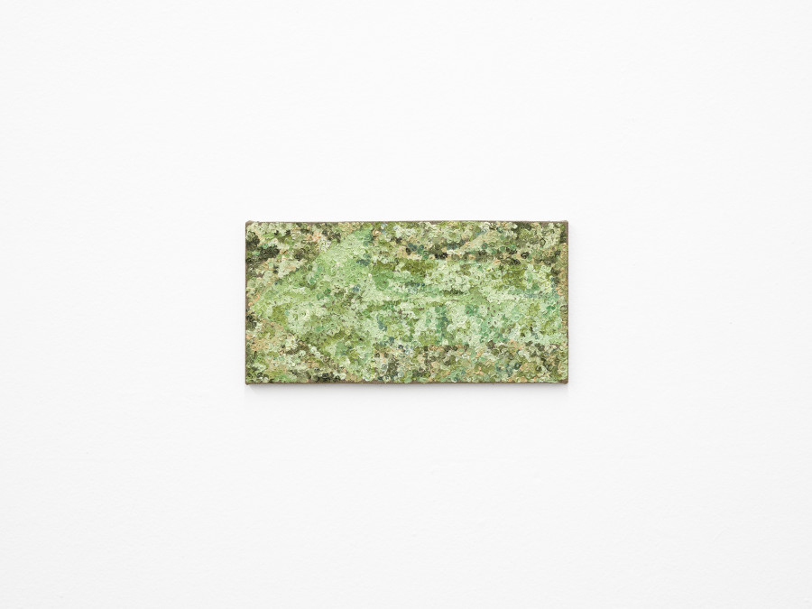 Vera Palme, Diversion (green peach), 2024. Photo: Cedric Mussano. Courtesy of Kunsthalle Winterthur.