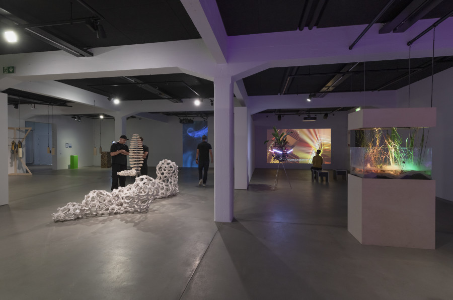 «Earthbound – In Dialogue with Nature», Installation view, 2022, HEK, Photos: Franz Wamhof.