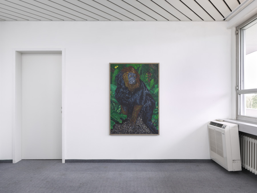 Exhibition view, Matteo Callegari, Mother, flatmarkus, Kilchberg / Zürich, 2024. Photo credit: Felix Jungo. Courtesy of the artist and flatmarkus