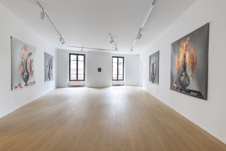 Exhibition view, Mat Collishaw, vivisystems, Wilde, 2024. Photo credit: Eric Bergoend