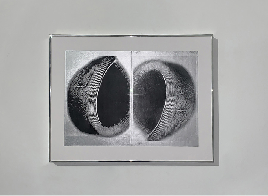 Marie Angeletti, Minerve, print on silver, 40 x 41,5 cm, unique edition, 2021. exhibition Marie Angeletti, Ram, CEC, 2021. Courtesy Centre d’édition contemporaine, Geneva