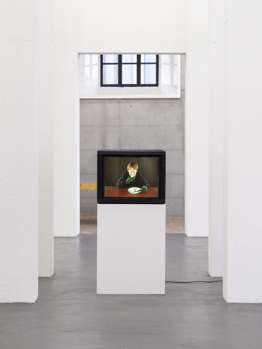 Installation view, Dietrich, curated by Anne Pontégnie, Galerie Francesca Pia, Zurich, 2024. Photo: Cedric Mussano