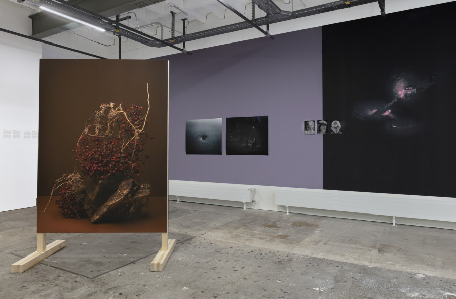 Installation view, When Images Take Care, Centre de la photographie Genève, 2024. Photo credit: Lucas Olivet