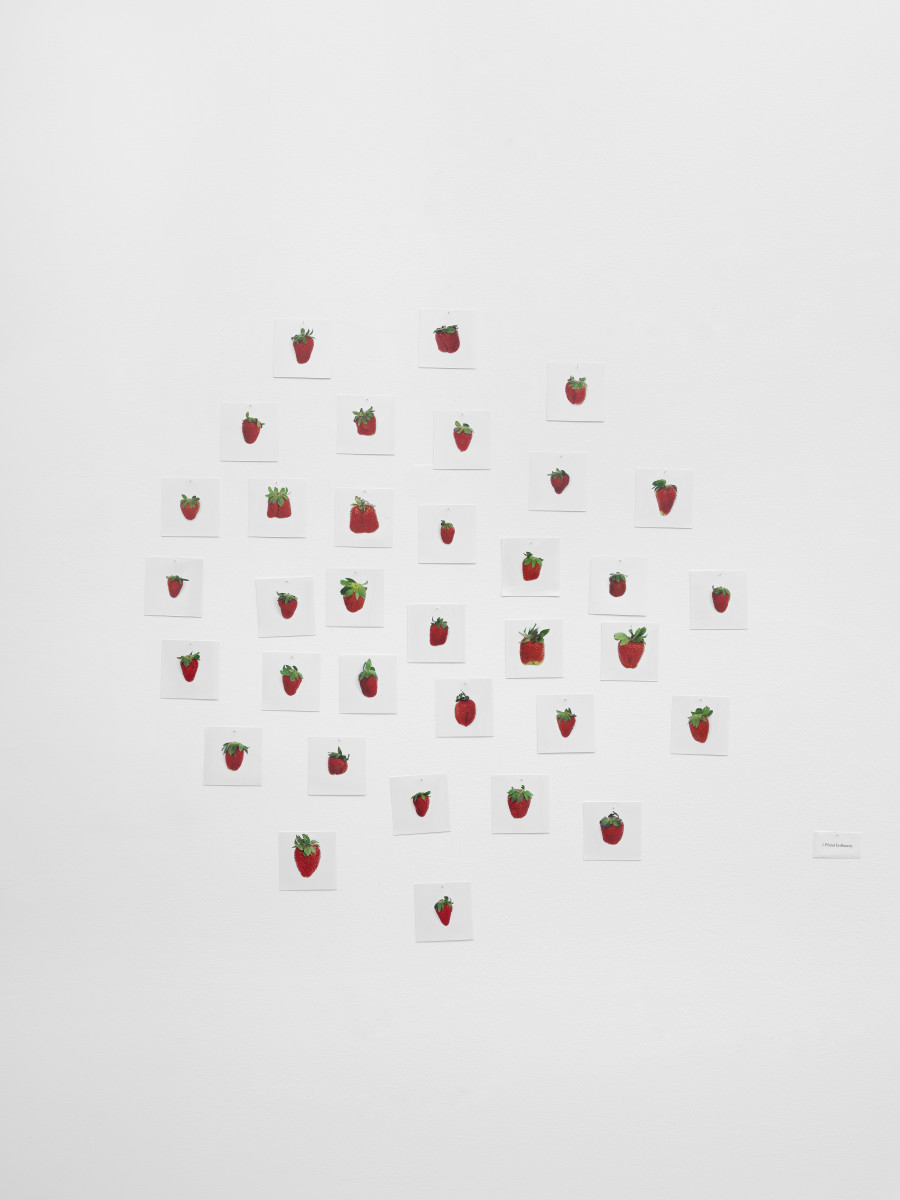 Hans-Peter Feldmann, 1 Pfund Erdbeeren, 2000s, 34 photographs, each 10 x 10 cm