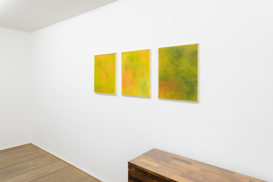Exhibition view, Zoe Koke, Mai 36 Galerie, 2023-2024.