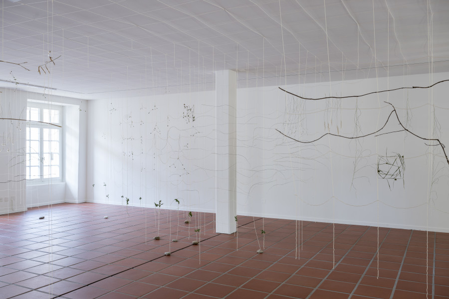 Julia Steiner, «Partitur der Natur», 2023. Ortsspezifische Installation. Baumwollgarn, Pflanzenteile, Flusssteine. Foto: Ullmann.Photography