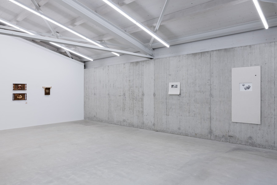 Noémie Vidonne, diverse Werke, 2024-2025. Courtesy the artist. Ausstellungsansicht Kunsthaus Baselland 2025. Foto: Gina Folly