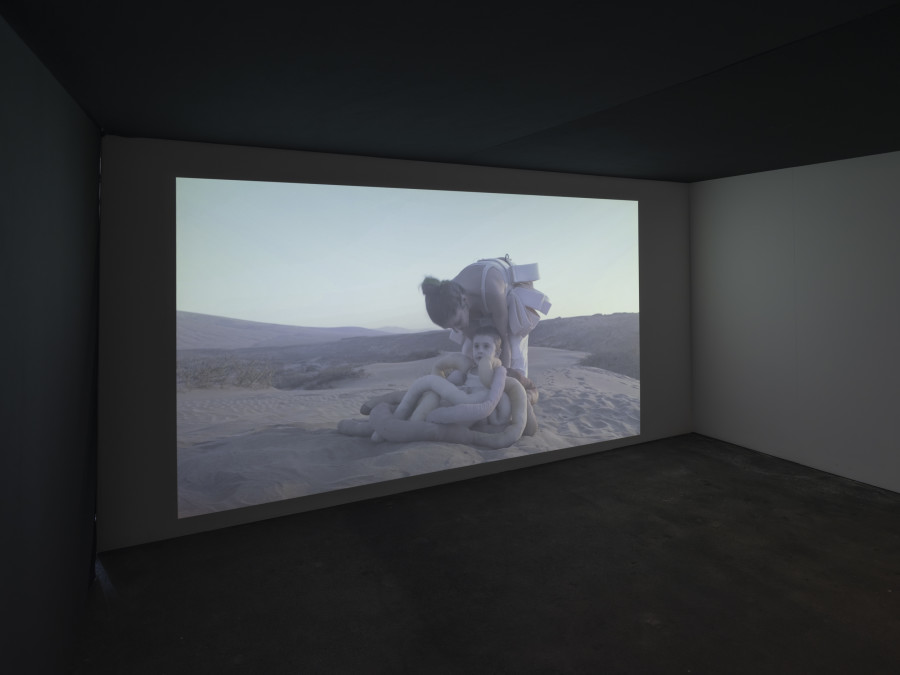 Installation view, Vanessa Safavi, WAVES IN THE CLOSET, Tunnel Tunnel, Lausanne, 2025. Photo credit: Julien Gremaud