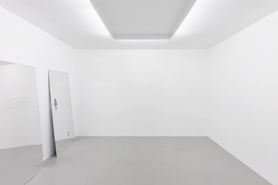 Installation view, Ceylan Öztrük, Self-specular, a moment, Galerie Philippzollinger, 2022.