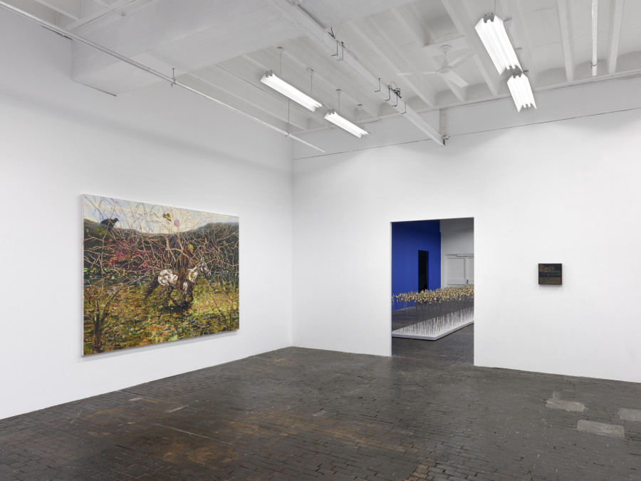 Exhibition view of Rituals of Care by Antonio Obá at Centre d’Art Contemporain Genève (November 16, 2024-February 16, 2025). © Centre d’Art Contemporain Genève. Photo: Annik Wetter