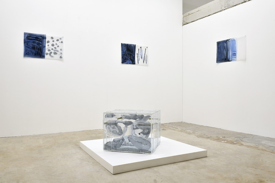 Catherine Bolle, Eaux Nomades, Fabienne Levy Gallery, Lausanne, Switzerland. © Zoe Aubry, Courtesy of the artist and Fabienne Levy.