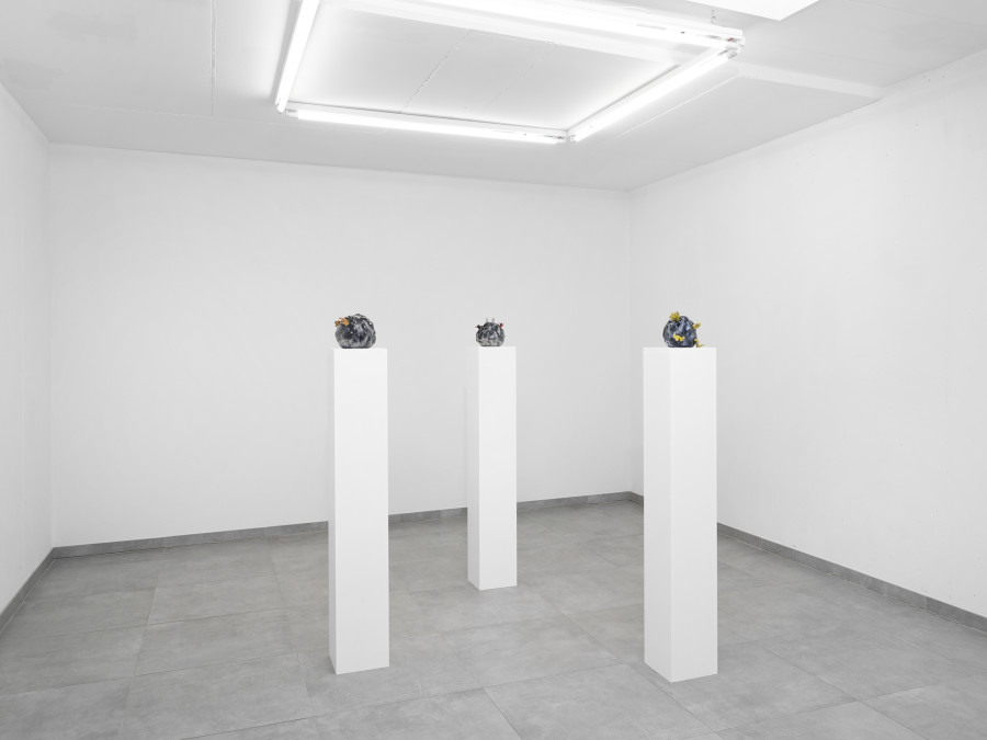 Cassidy Toner, Continuity Creep, exhibition view, All Stars, Lausanne. Picture: Julien Gremaud