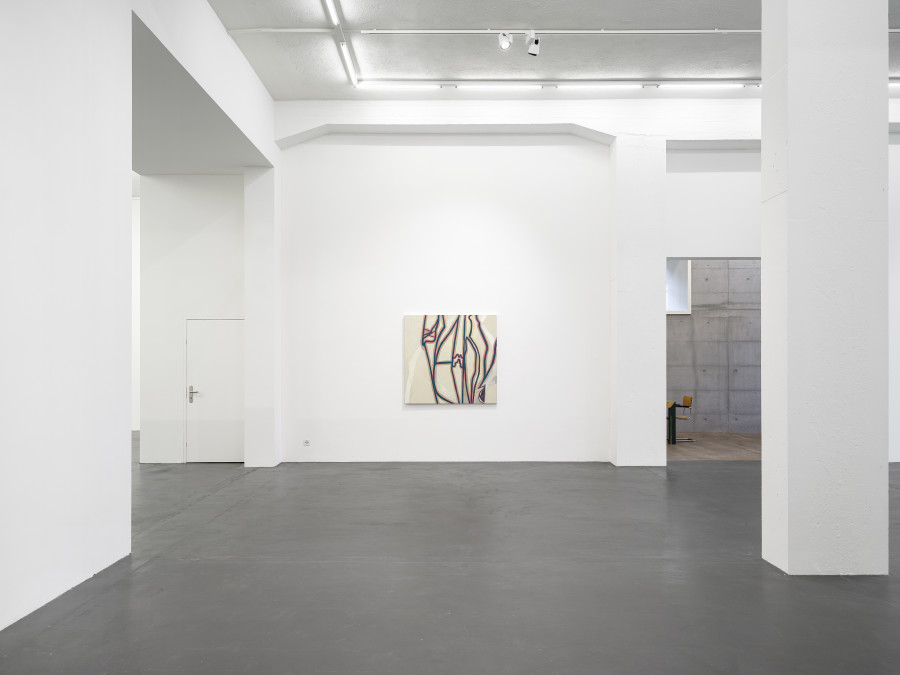 Installation view, Emil Michael Klein, Galerie Francesca Pia, Zurich, 2023-2024. Photo: Cedric Mussano