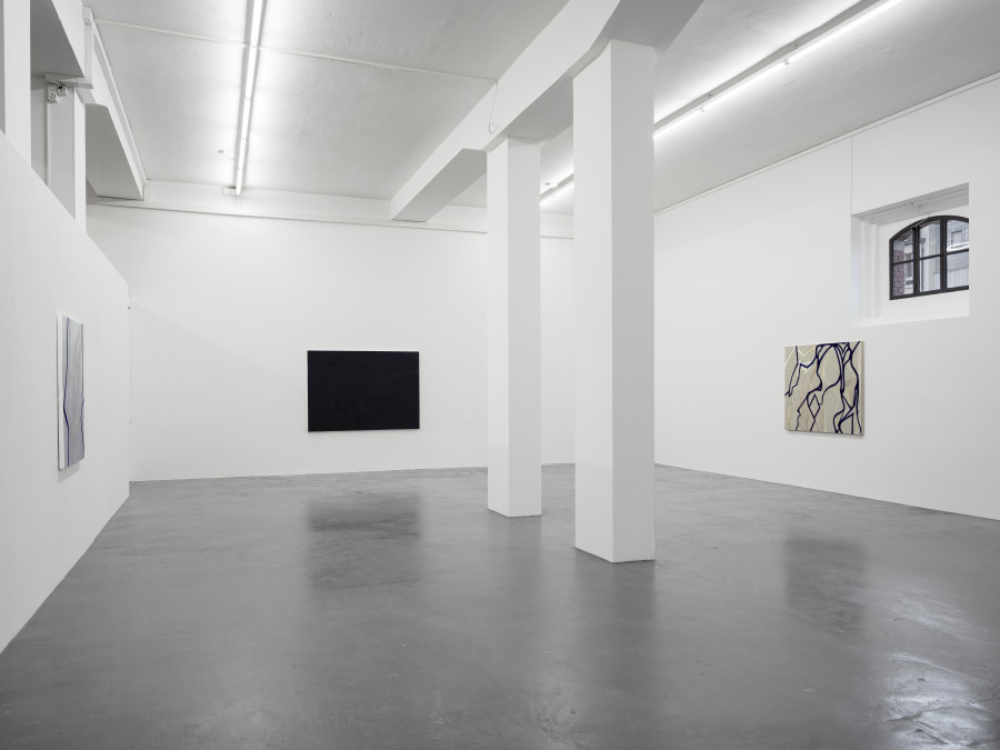 Installation view, Emil Michael Klein, Galerie Francesca Pia, Zurich, 2023-2024. Photo: Cedric Mussano