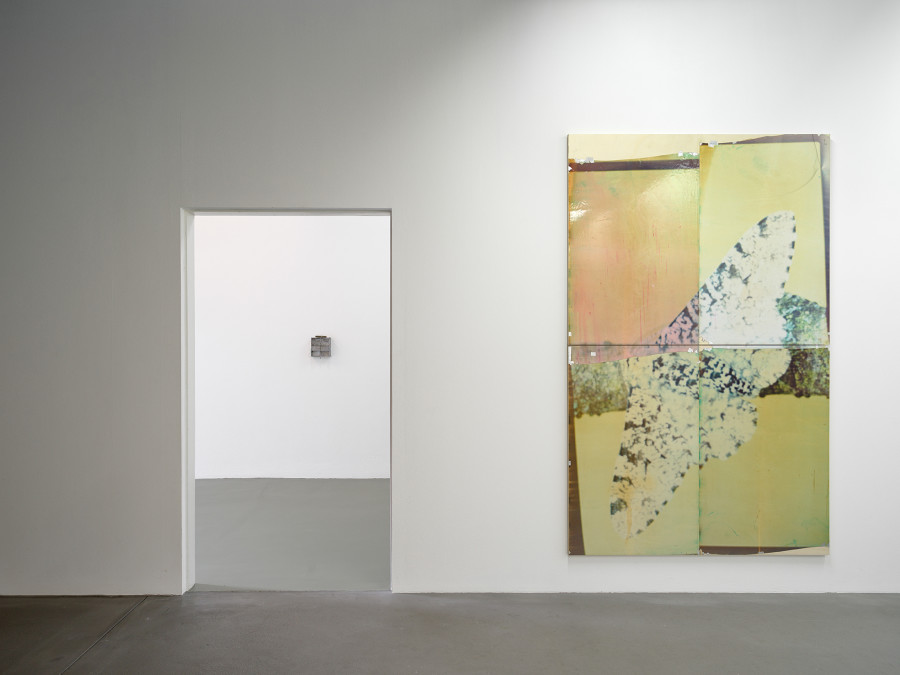 Nat Faulkner, Natural Exposure (2023), installation view, Passages, Kunsthalle Friart Fribourg, 2026. Photo: Cedric Mussano