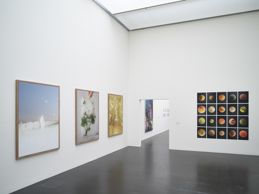 Exhibition view, zentral!, Liv Burkhard and Lorenz Olivier Schmid, Kunstmuseum Luzern, 2023-2024. Photo: Marc Latzel