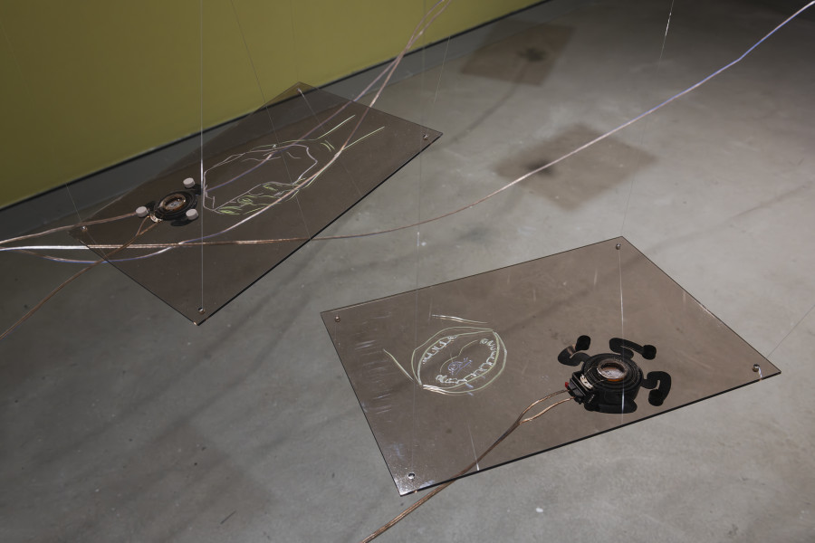 Rhona Mühlebach, I Petrify, Coda, 2026, «Lukas Truniger, Isabell Bullerschen, Rhona Mühlebach – Swiss Media Art – Pax Art Awards 2025», 2026, HEK, photo: Franz Wamhof