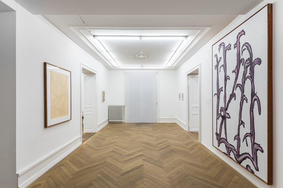 Exhibition view, Albrecht Schnider, at the garden’s Border, Mai 36 Galerie, 2023. Photo credits: Peter Baracchi