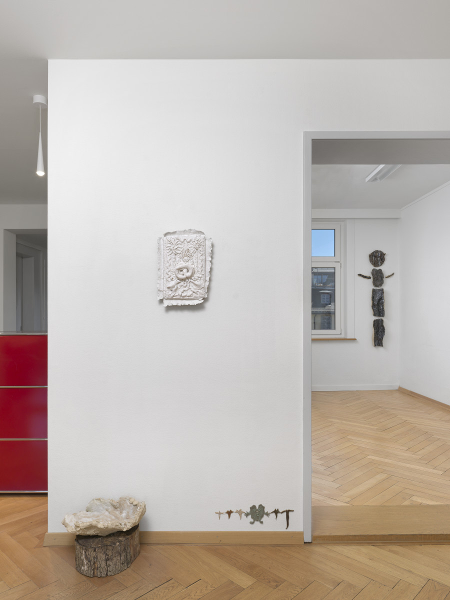 Solo exhibition Dimitrina Sevova: Samodiva – Wild Reclaiming Space. Photo: Annik Wetter, courtesy BELETAGE, Zurich