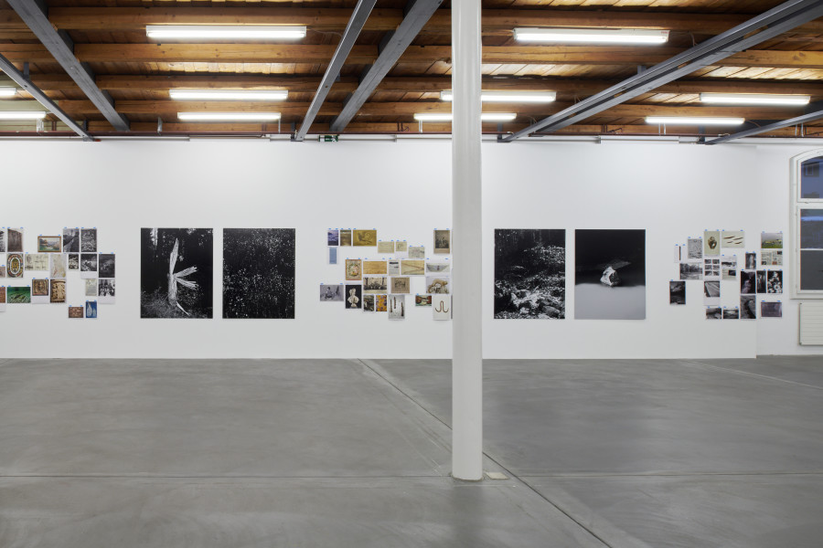 Exhibition view, Cécile Monnier, des nuits sans silence, Kunsthalle Friart Fribourg, 2022/23. Photo : Guillaume Python