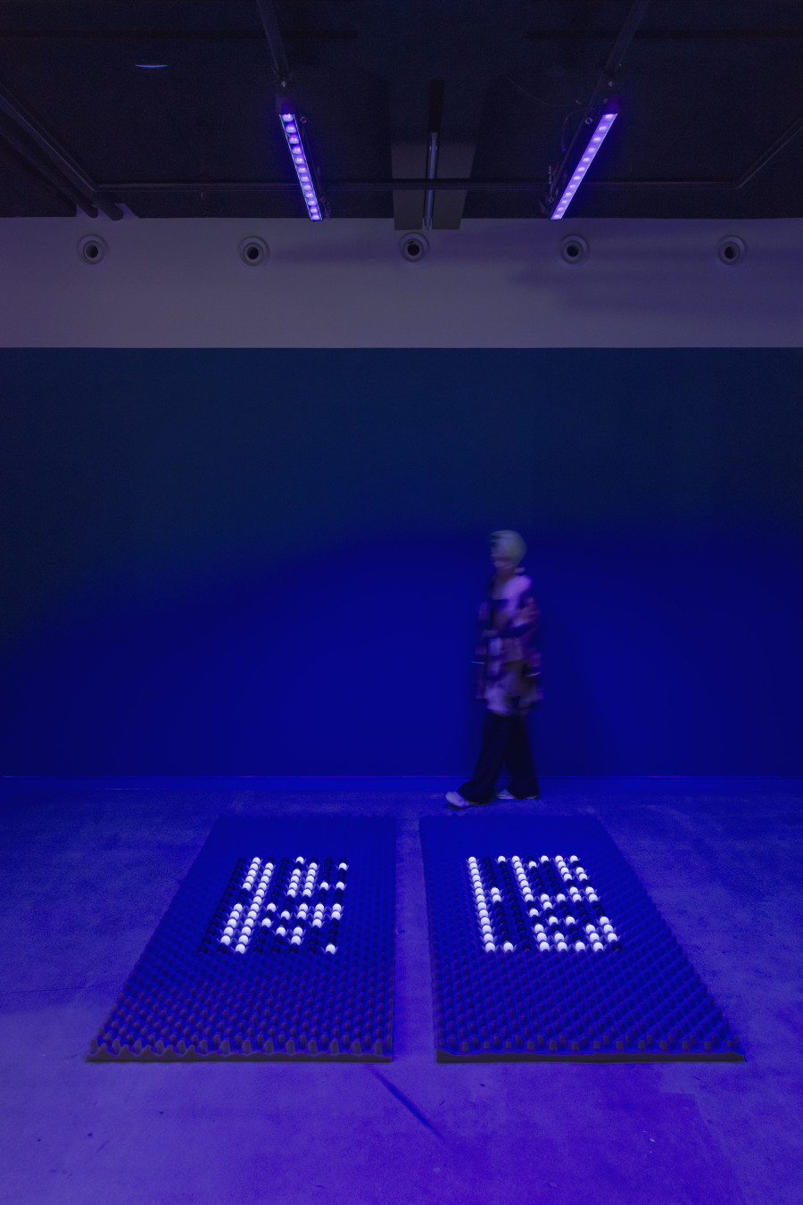 Joan Heemskerk, Entangled binary network (Hello, world!), 2024, «Quantum Visions», 2025, HEK, photo: Franz Wamhof