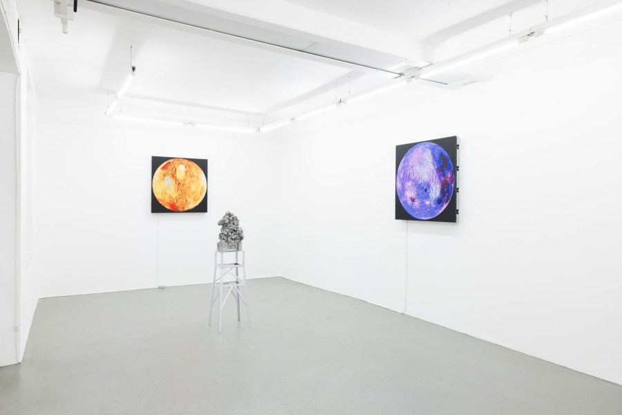 Installation view, Malte Bartsch, T.I.N.A., KALI Gallery, 2024.