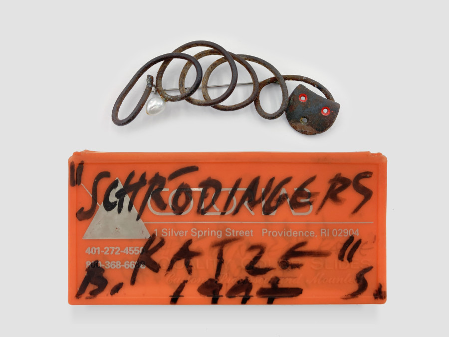 Bernhard Schobinger, Schrödingers Katze / Schrödinger’s Cat, 1997, Brooch made of steel, steel heel-piece, enamel, freshwater pearl, 3.5 x 8.5 x 1.5 cm