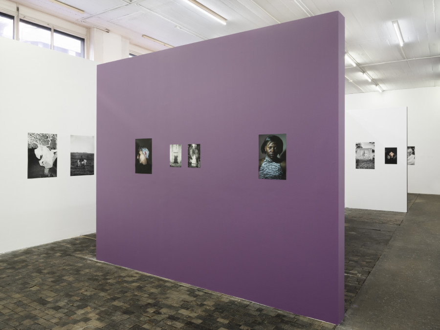 Exhibition view, Abdo Shanan, Dry, Centre de la photographie Genève, 2022. Photo credit: Léonard Rossi