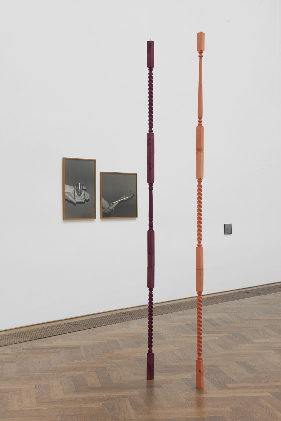 Joanna Piotrowska, installation view, Stable Vices, Kunsthalle Basel, 2019. Photo: Philipp Hänger / Kunsthalle Basel