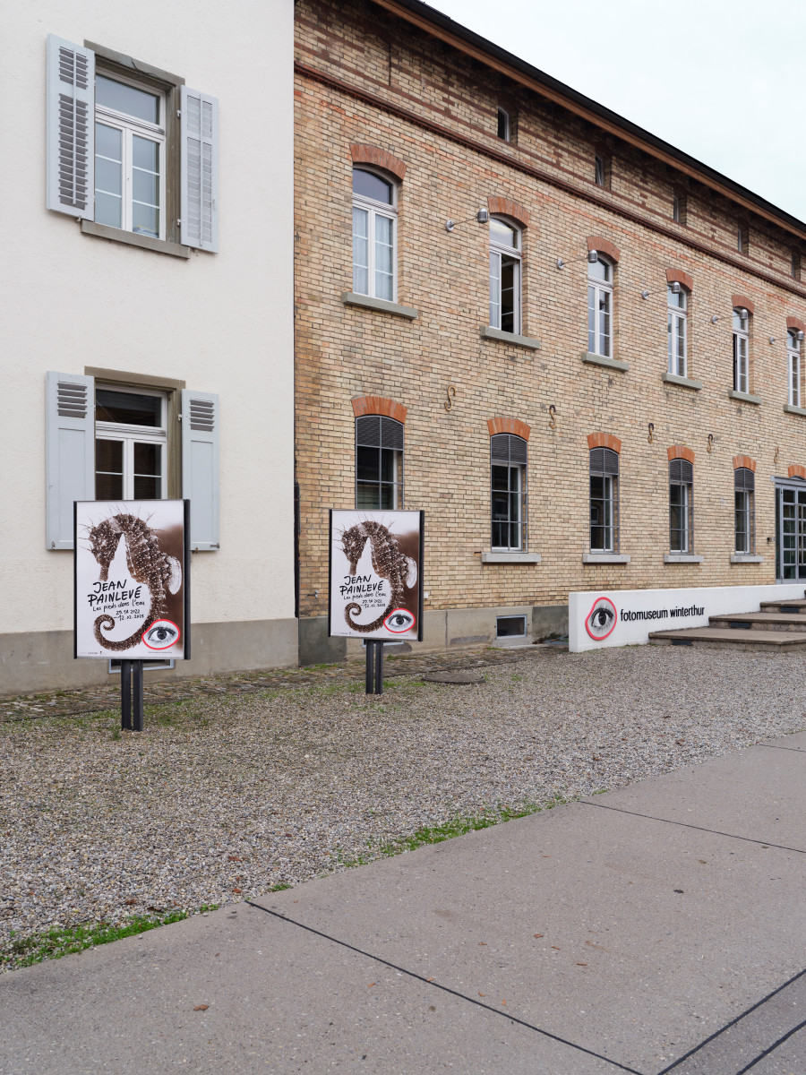 Installation view Jean Painlevé – Feet in the Water, Fotomuseum Winterthur © Fotomuseum Winterthur / Conradin Frei