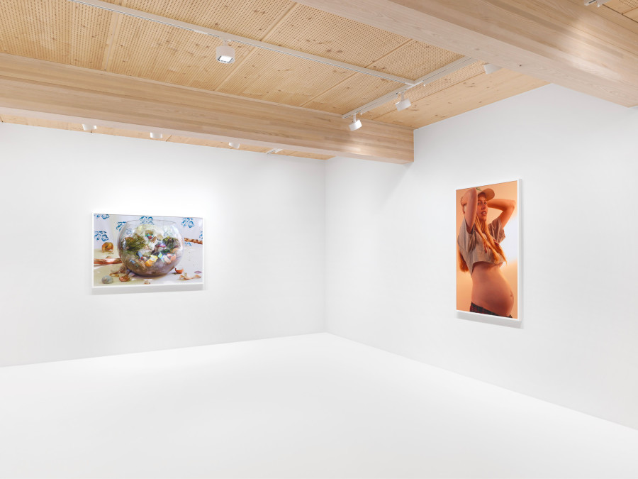 Roe Ethridge, Happy Birthday Louise Parker II, 2024, installation view. Artwork © Roe Ethridge. Photo: Annik Wetter. Courtesy Gagosian