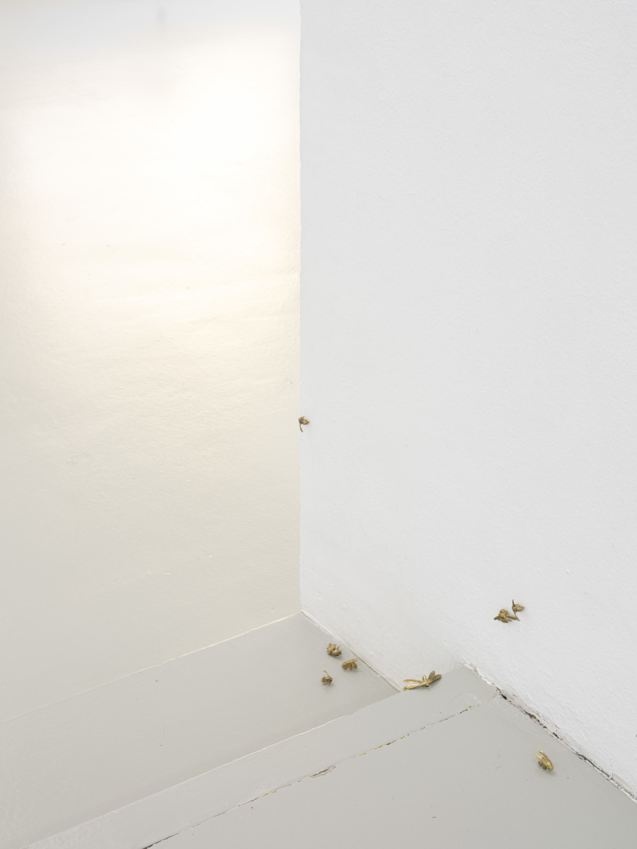 Marta Margnetti, Combriccola, 2026. Photo: Sebastian Verdon