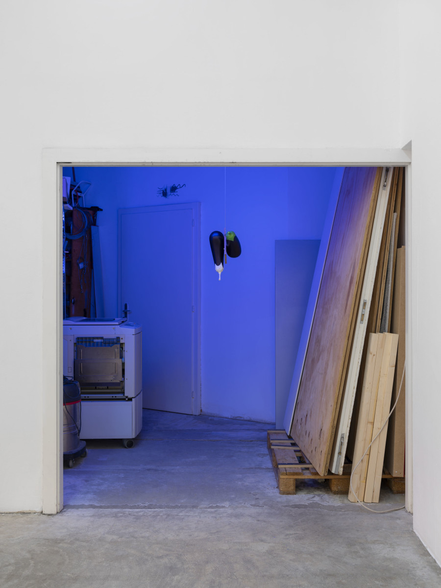 Installation view at CIRCUIT, Centre d’Art Contemporain, Lausanne. Photo: Julien Gremaud. Courtesy the artist and CIRCUIT