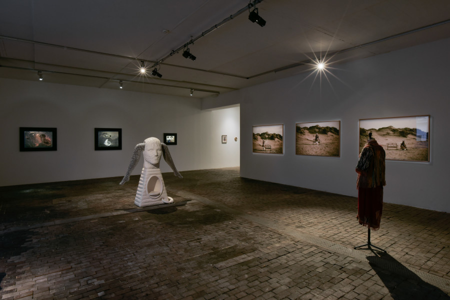 Exhibition view of Chrysalis: The Butterfly Dream at Centre d’Art Contemporain Genève (January 25‒June 4, 2023). © Centre d’Art Contemporain Genève. Photo: Mathilda Olmi