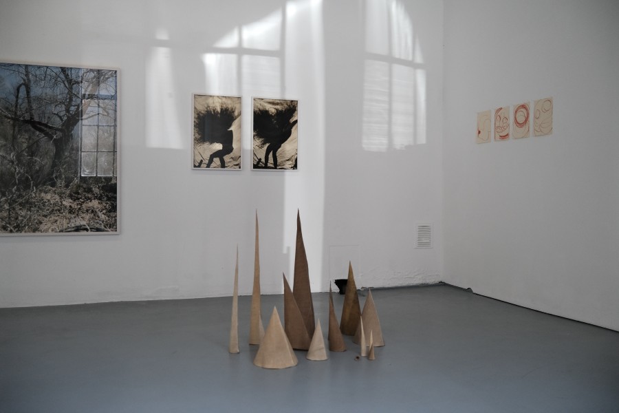 Installation view, Nathalie Bissig, Konus, standard/deluxe, 2023.