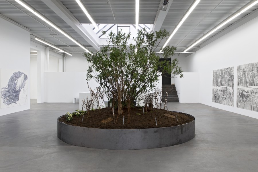 Marlene McCarty, Into the Weeds, 2019. Courtesy the artist. Installation view Kunsthaus Baselland 2020. Photo: Gina Folly